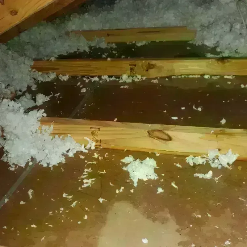 Attic Water Damage in Pleasant Prairie, WI