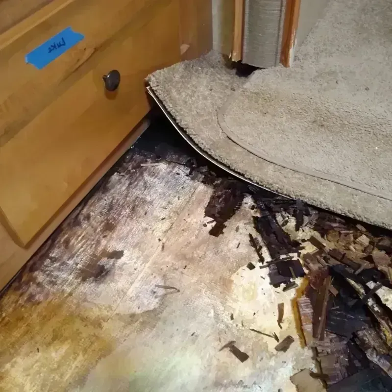 Wood Floor Water Damage in Pleasant Prairie, WI